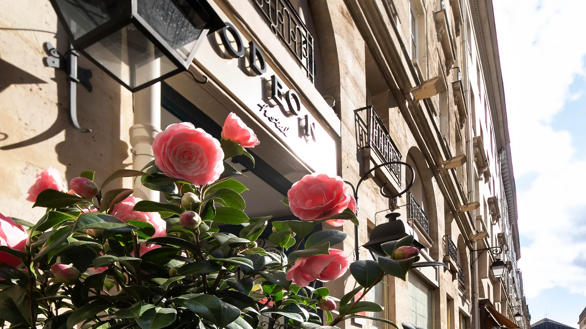 Odeon Hotel